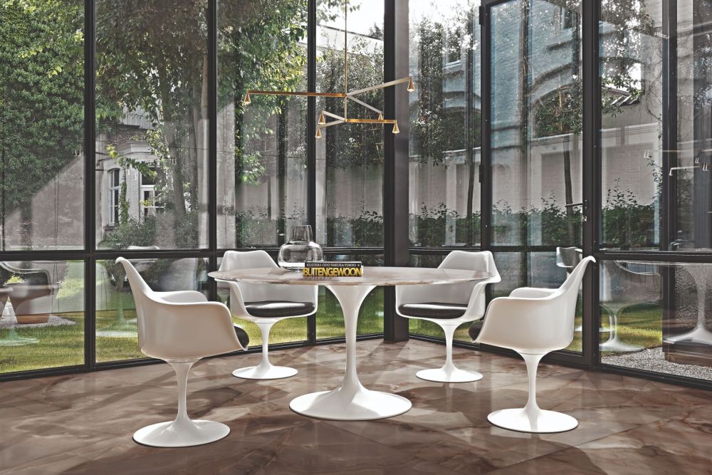 Elysium Reves Choco Glossy 24 x 48 Polished Porcelain Tiles