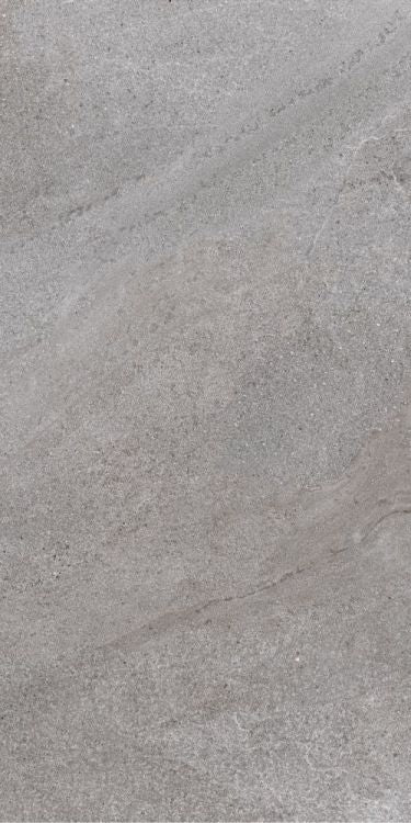 Elysium Tiles Tune Desert 24 x 48 Matte Porcelain Tiles