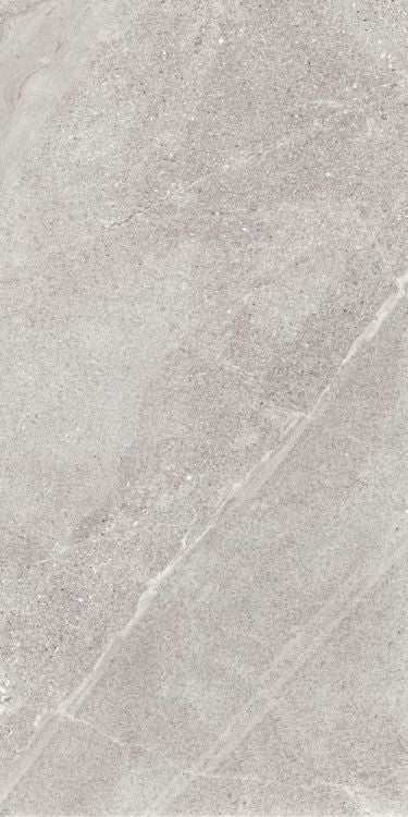Elysium Tiles Tune Desert 24 x 48 Matte Porcelain Tiles