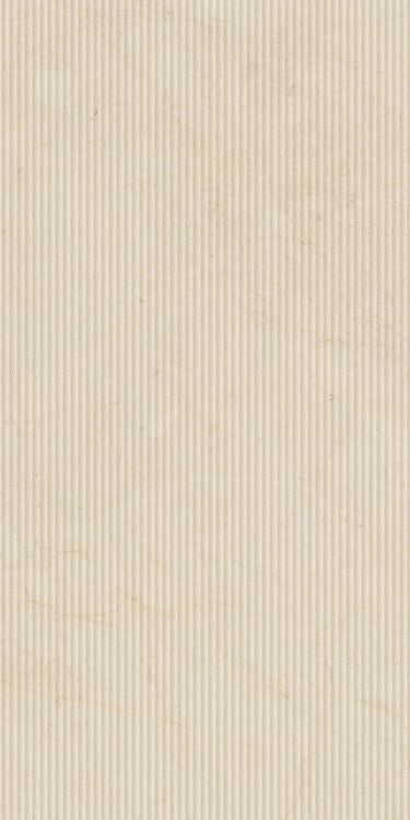 Elysium Tiles Biotech Crema Stone Cannette 24 x 48 Matte Porcelain Tiles