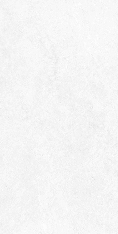 Elysium Tiles Babilon Arctic Polished 24 x 48 Matte Porcelain Tiles