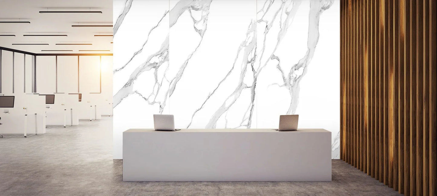 Raphael Stone RP 1020 Rigato White 32'' x 64'' Polished Porcelain Tile