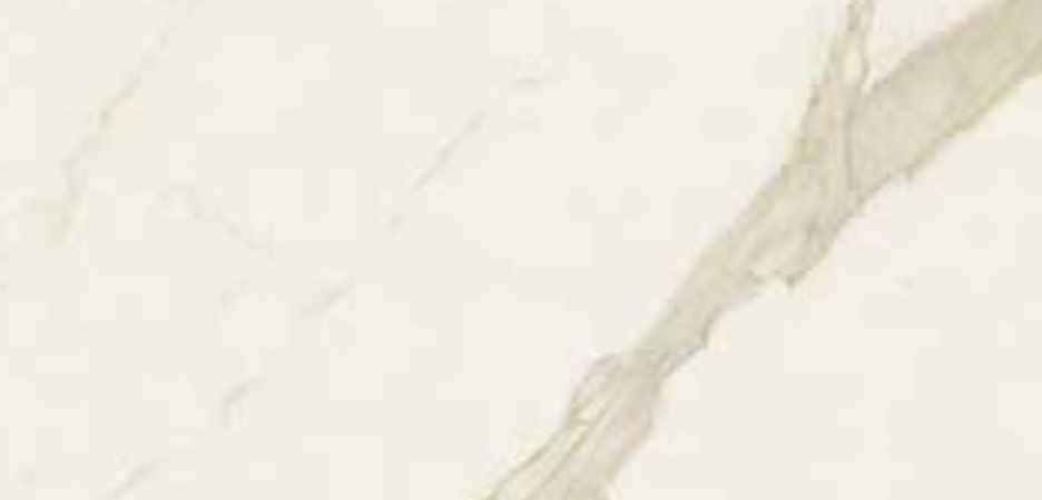 Belleza Ceramica Calcutta Gold Matte 24’’ x 48’’ Porcelain Tile