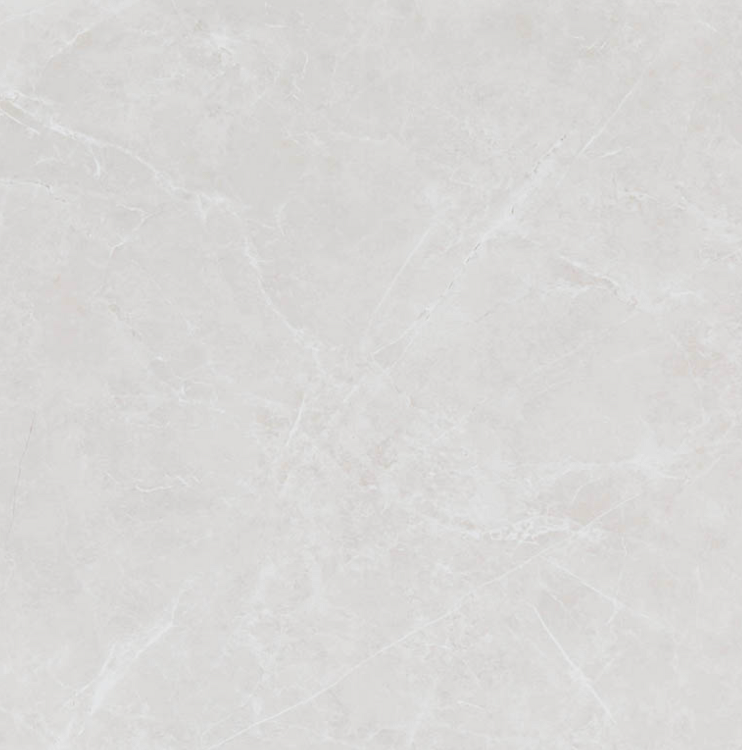 Belleza Ceramica Puccini Blanco | Matte | 24’’ x 48’’ Porcelain Tile