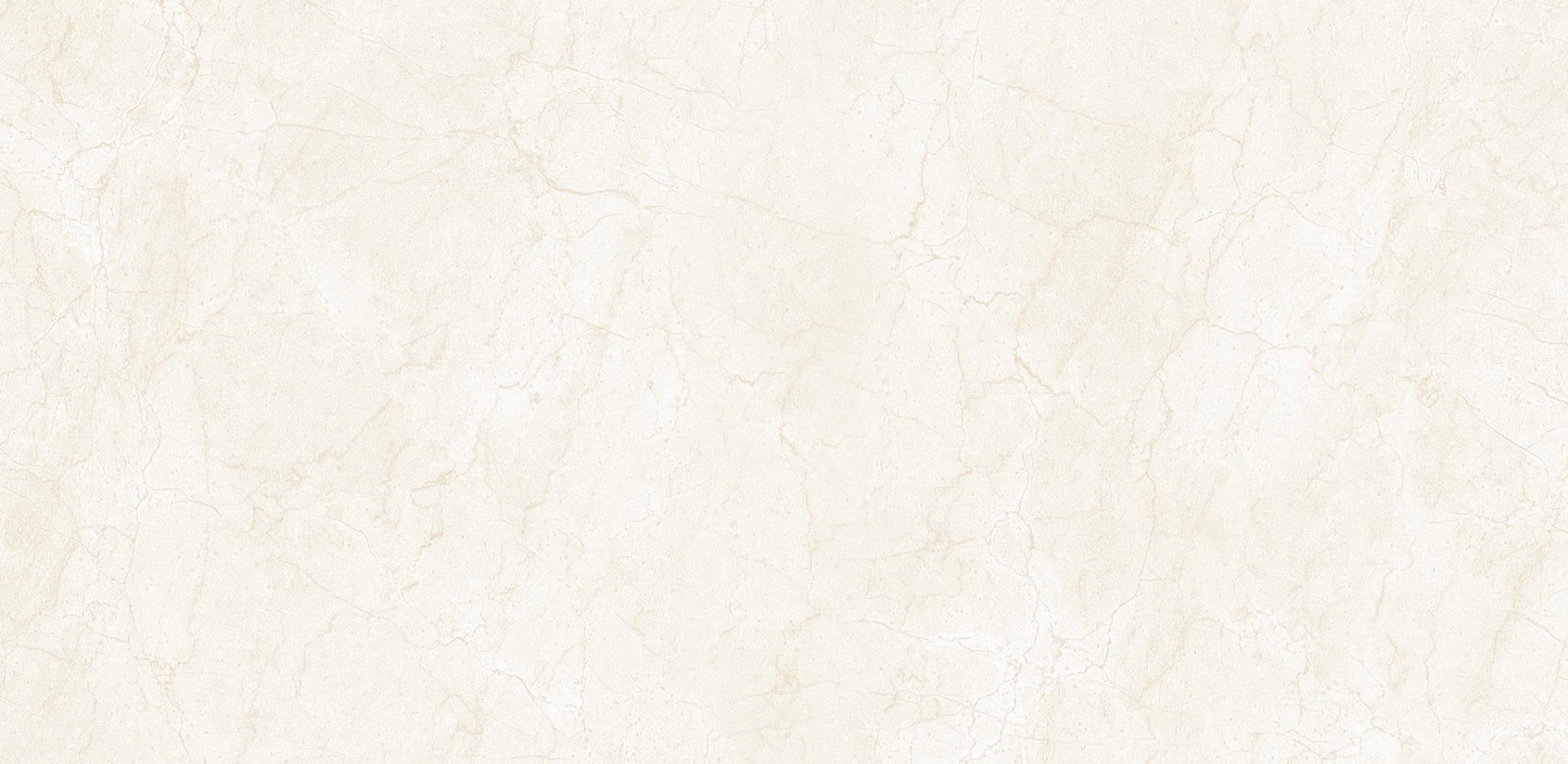 Tile World 6003 | Polished | 24’’ x 48’’ Porcelain Tile