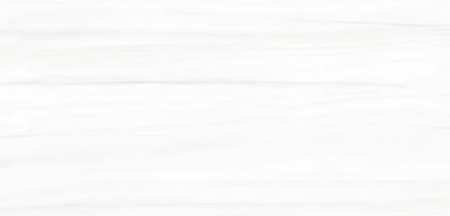 Ottimo Ceramics Eco Lux Bianco Covelano 24’’ x 48’’ Polished Porcelain Tile