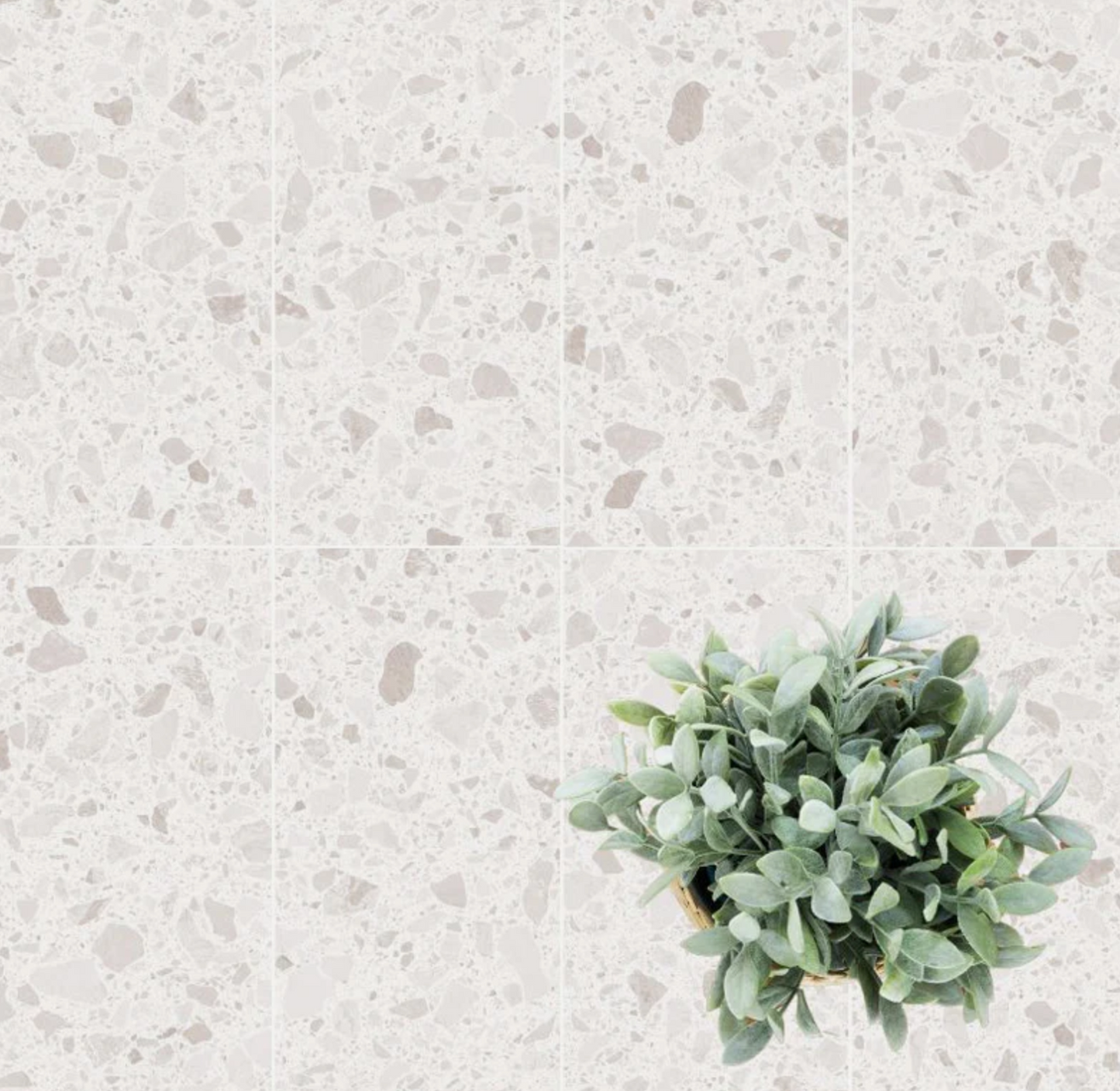 Ottimo Ceramics Crezzo 12” x 24” Matte Porcelain Tile