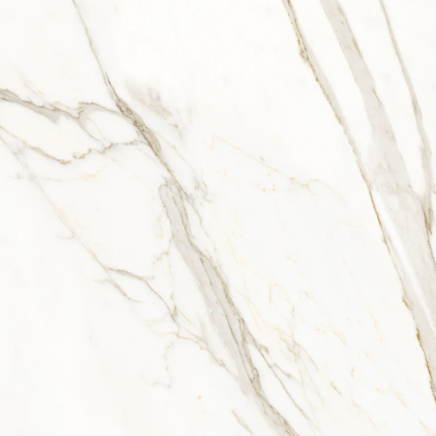Ottimo Ceramics Elegance Gold Calacatta 24’’ x 24’’ Polished Porcelain Tile