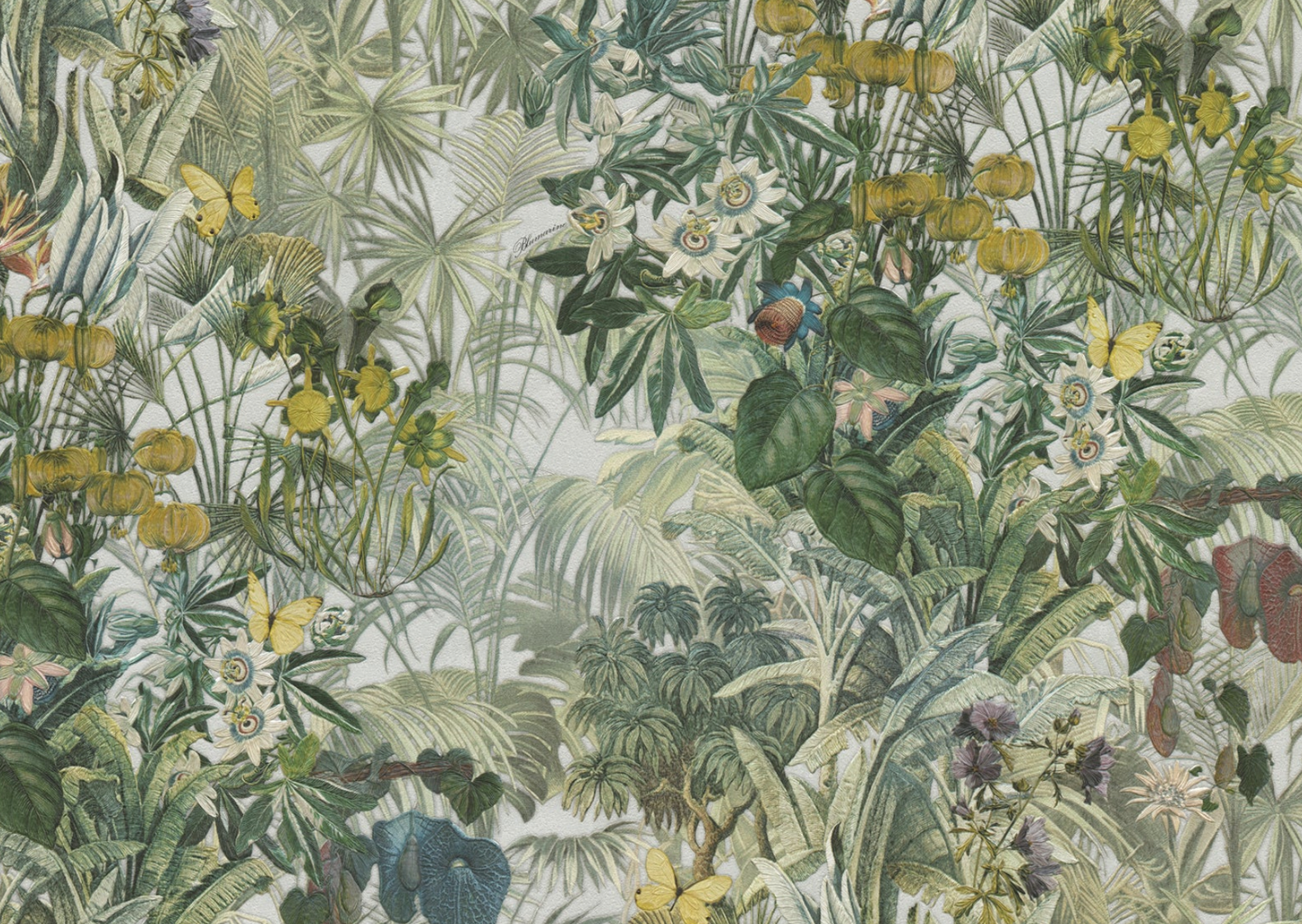 Emiliana Parati| Blumarine 5 Collection| by Sancar Luxury Designer Wallpapers