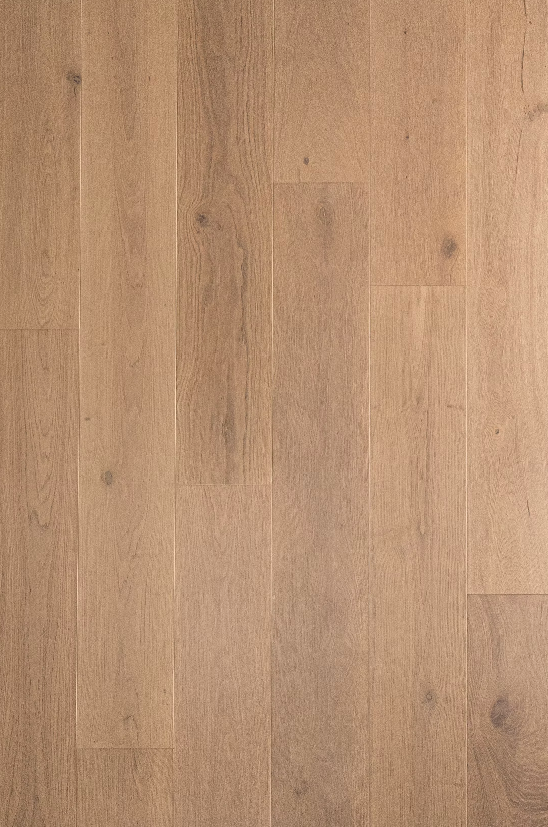 Bentham Plank |Engineered Hardwood| Varnett Collection | Francisco
