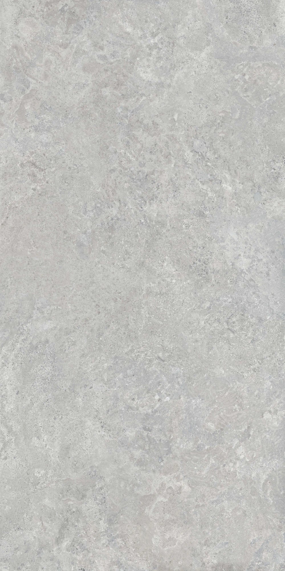 Ascale Borgona Silver 127''x63'' 12 mm Matte Porcelain Slab