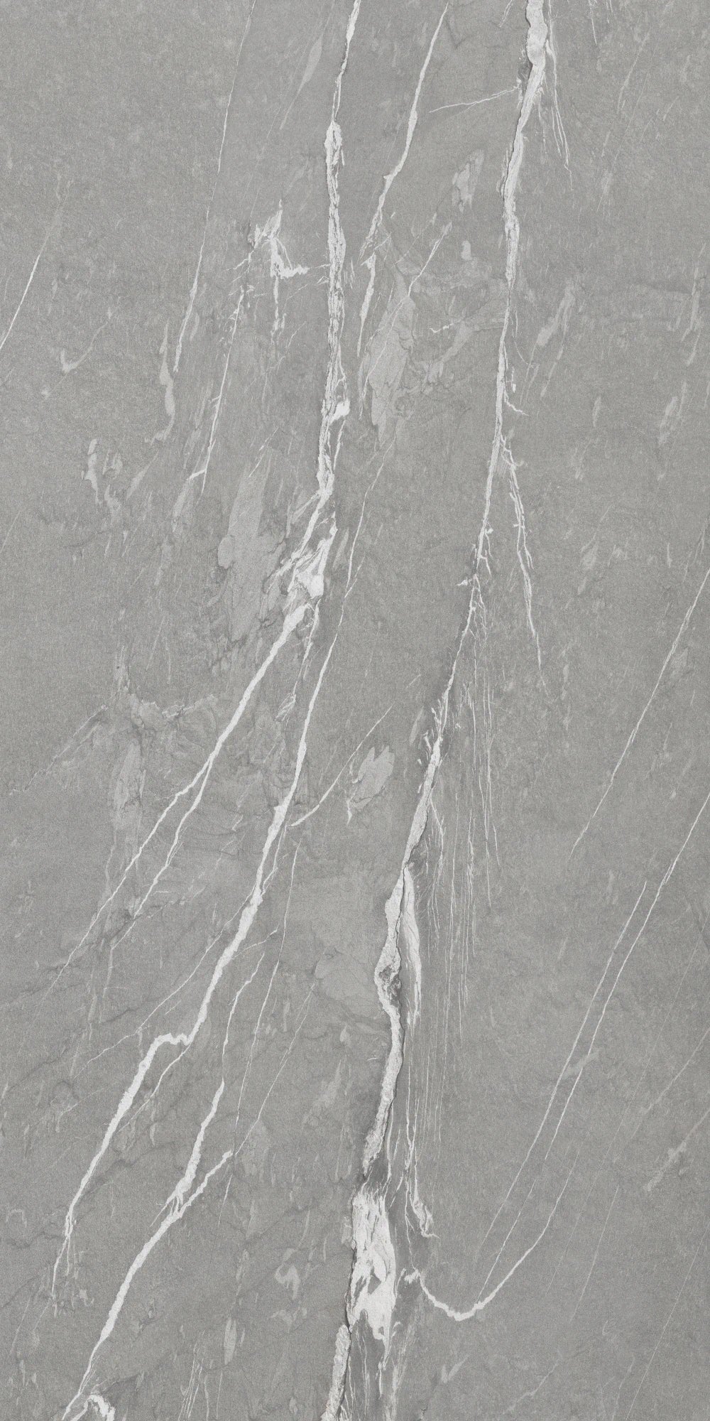 Ascale Cardoso Gray 127''x63'' 12 mm Matte Porcelain Slab