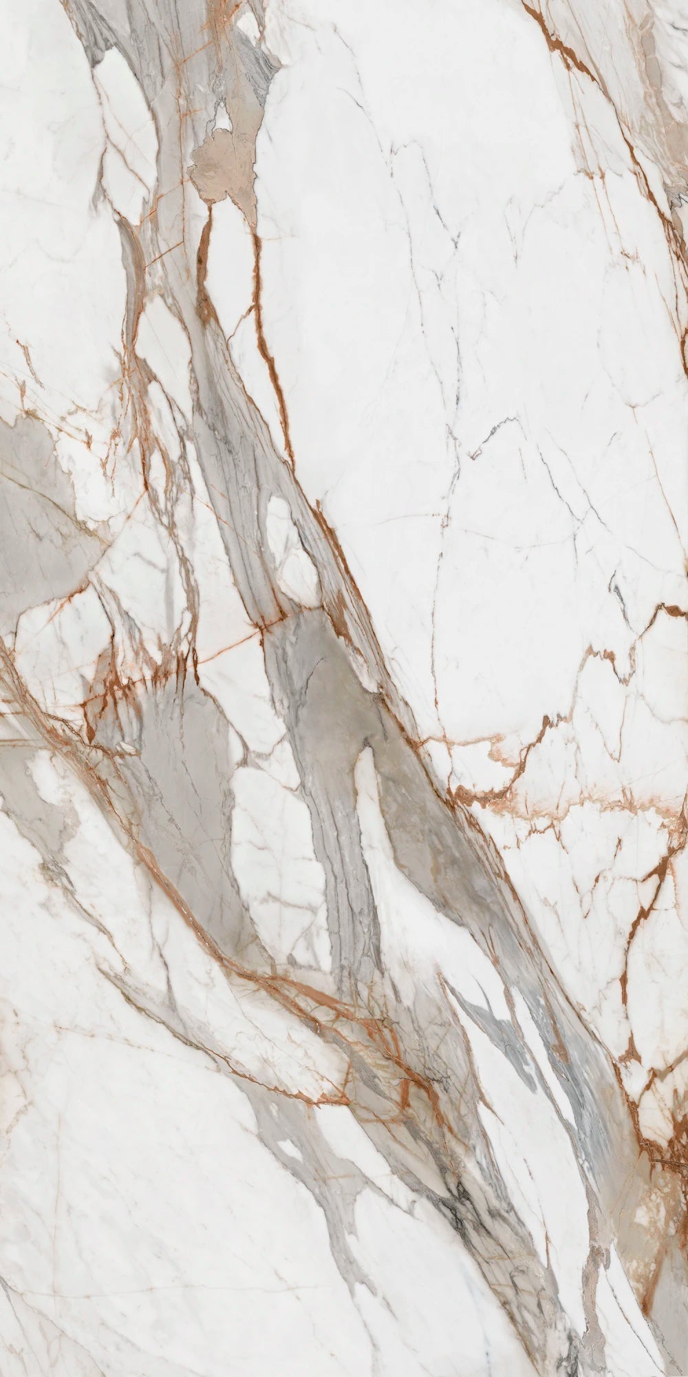 Ascale Macchia Vecchia 127''x63'' 12 mm Polished Porcelain Slab