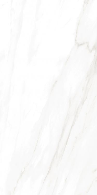 Elysium Tiles EC Calacatta Gold Polished 24 x 48 Polished  Porcelain Tiles