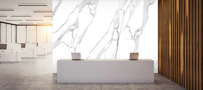 Raphael Stone RP 1020 Rigato White 32'' x 64'' Polished  Porcelain Tile