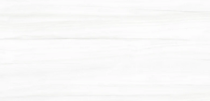 Ottimo Ceramics Eco Lux Bianco Covelano 24’’ x 48’’ Polished Porcelain Tile