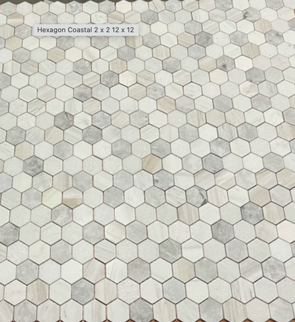 Elysium Tiles Hexagon Coastal 2x2 |12 x 12| Mosaic Tiles