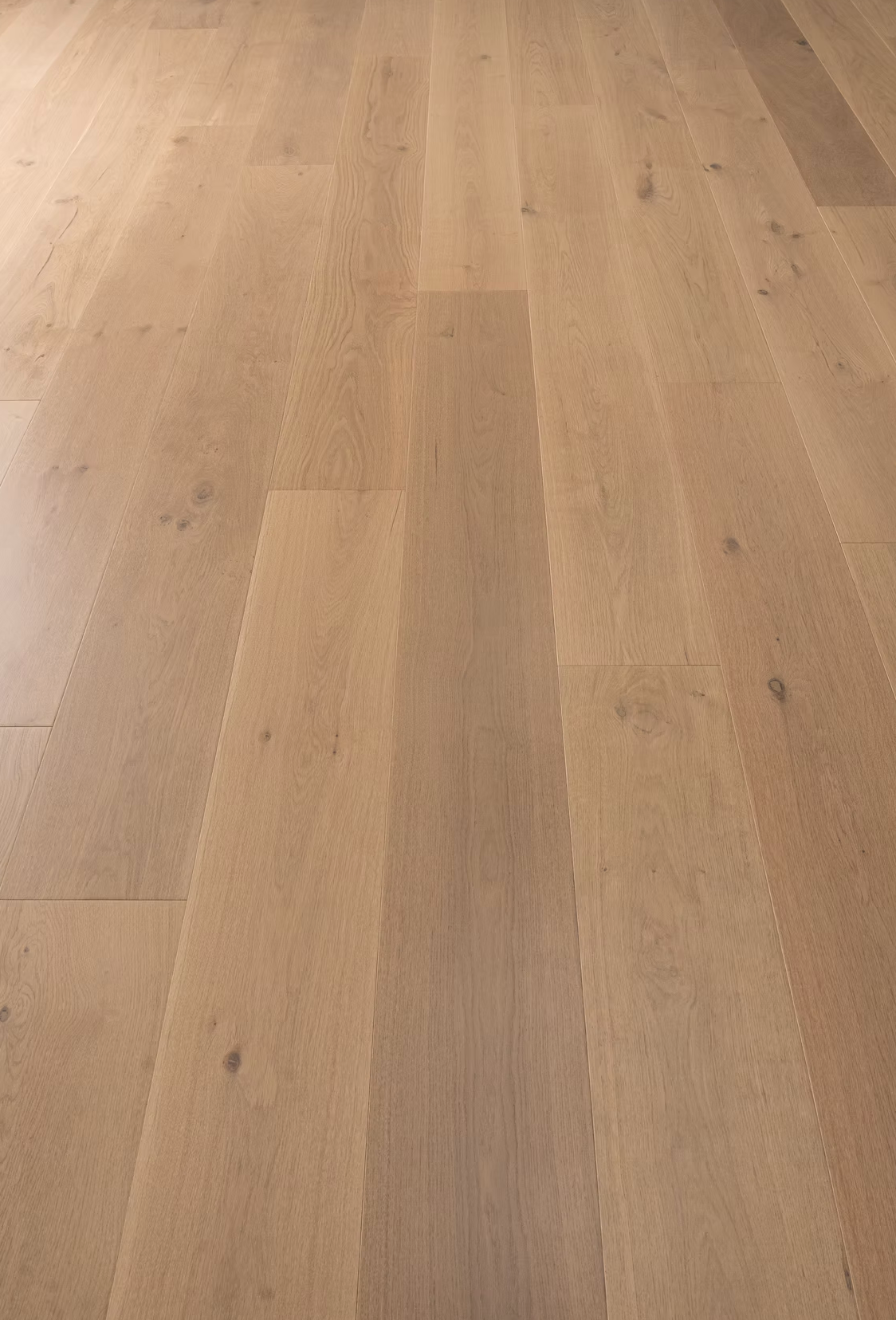 Bentham Plank |Engineered Hardwood| Varnett Collection | Francisco