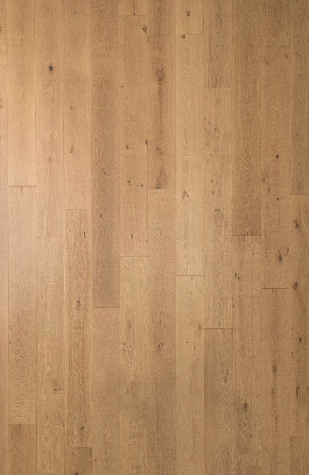 Bentham Plank |Engineered Hardwood| Varnett Collection | Seren