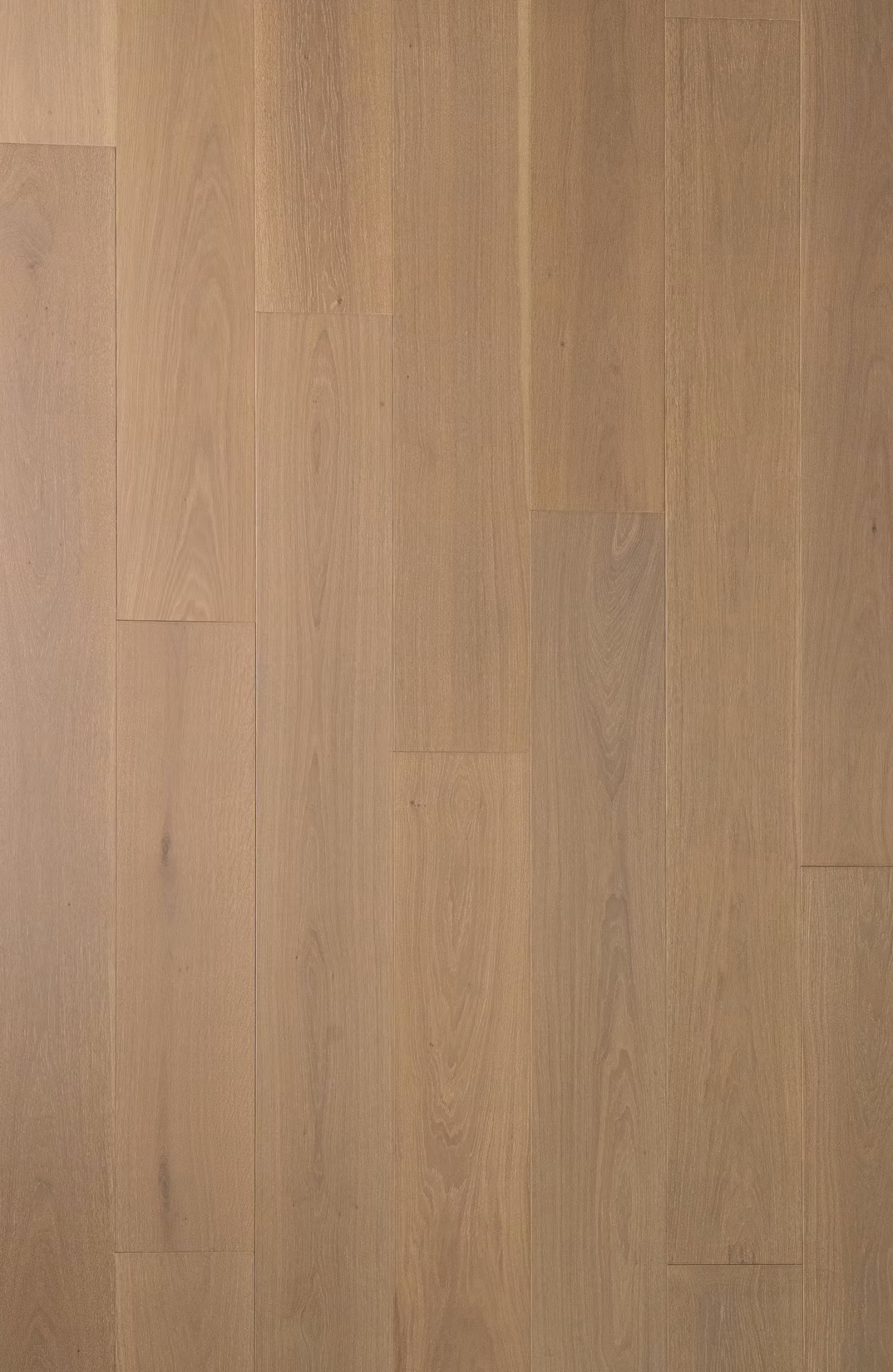 Bentham Plank |Engineered Hardwood| Lumea Collection | Minori