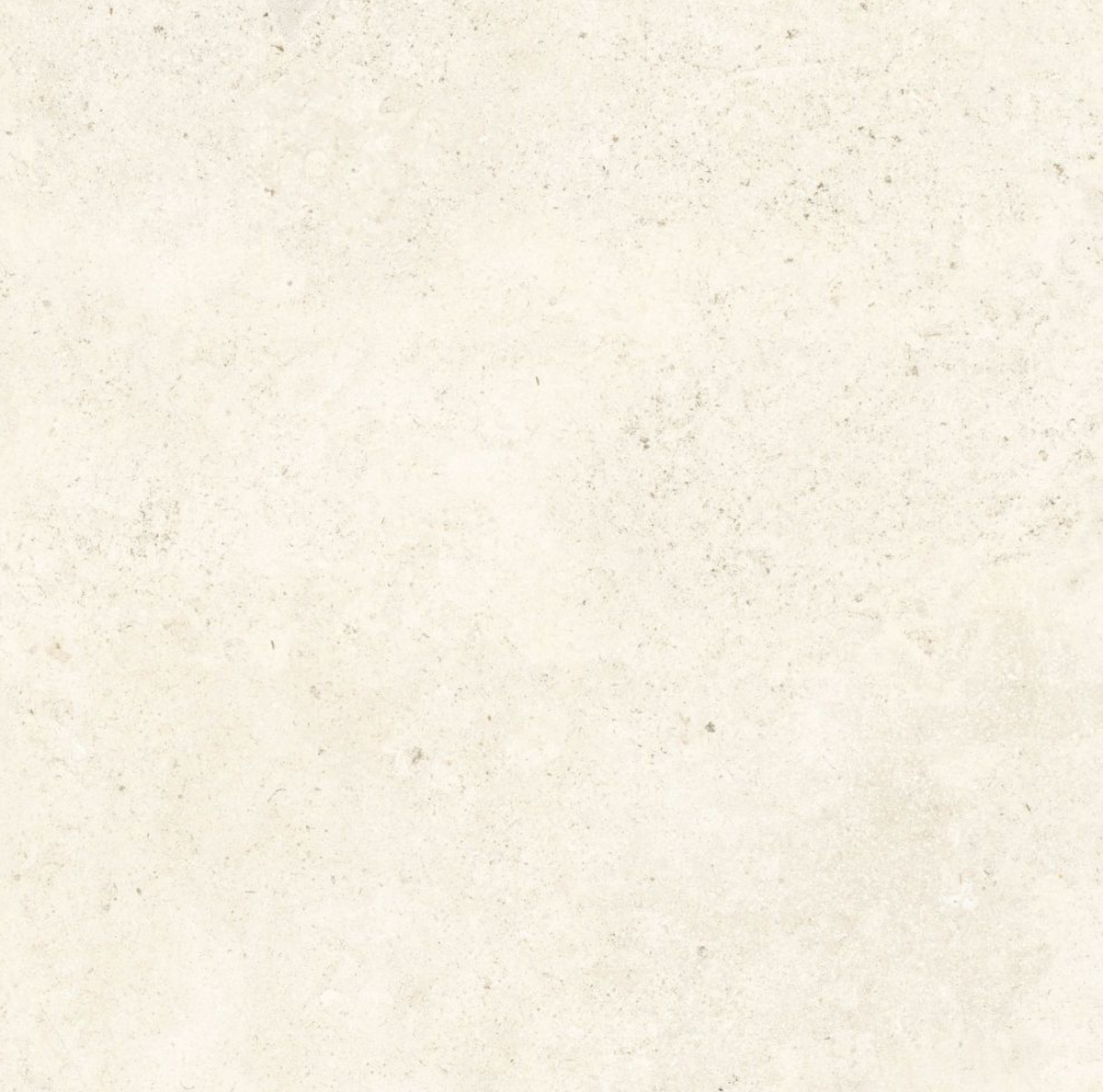 Elysium Tiles Lightstones.03 Shell Soft Touch 48 x 48 Matte Porcelain Tiles