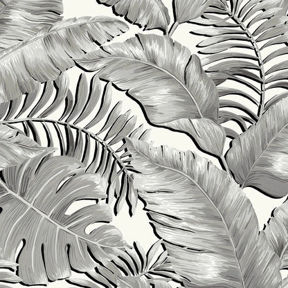 Mckenzie | Tropical Daze Collection| by Sancar Luxury Designer Wallpapers
