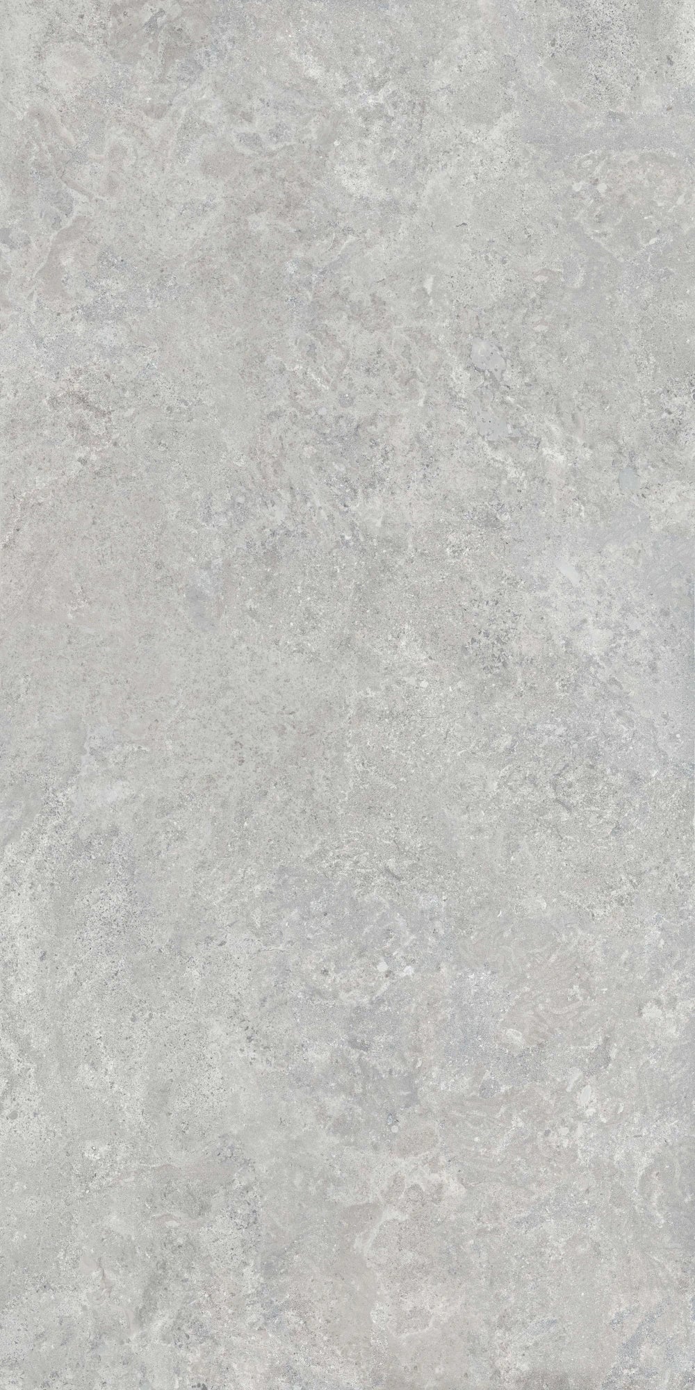 Ascale Borgona Silver 127''x63'' 12 mm Matte  Porcelain Slab