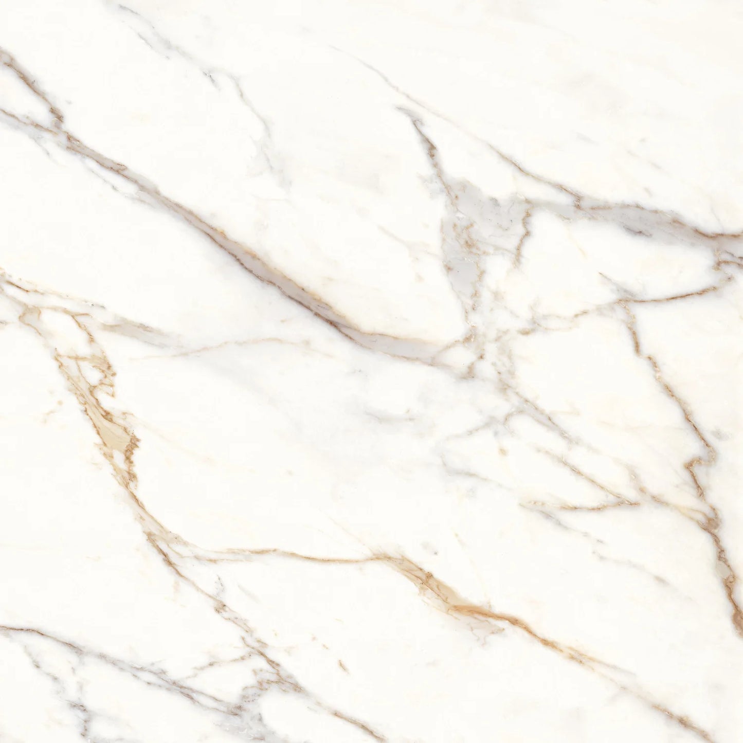 Dura Bell Calacatta Gold  48×48 Polished Porcelain Tile