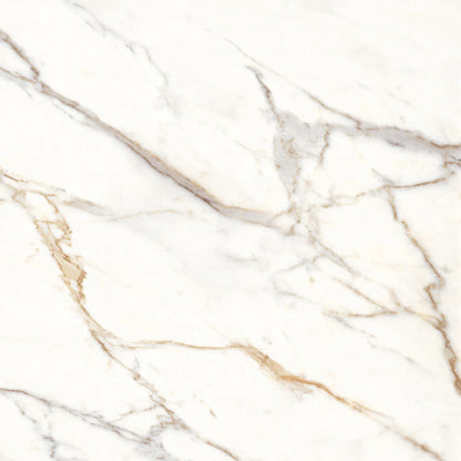 Dura Bell Calacatta Gold  48×48 Polished Porcelain Tile