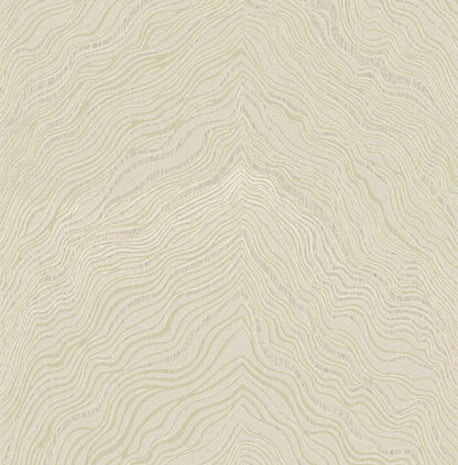KT EXCLUSIVE |Thom Collection| by Sancar Luxury Designer Wallpapers