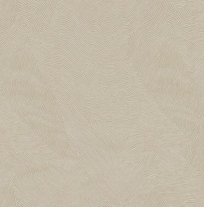 KT EXCLUSIVE |Thom Collection| by Sancar Luxury Designer Wallpapers