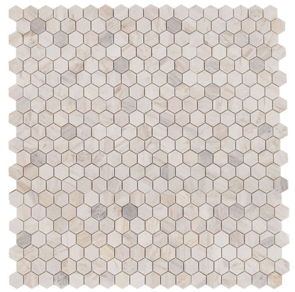 Elysium Tiles Hexagon Eura Polished Eurasian  2''x2'' | 11.75'' x 12''