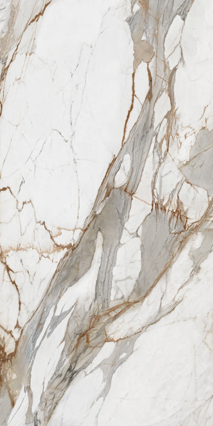 Ascale Macchia Vecchia 127''x63'' 12 mm Polished  Porcelain Slab