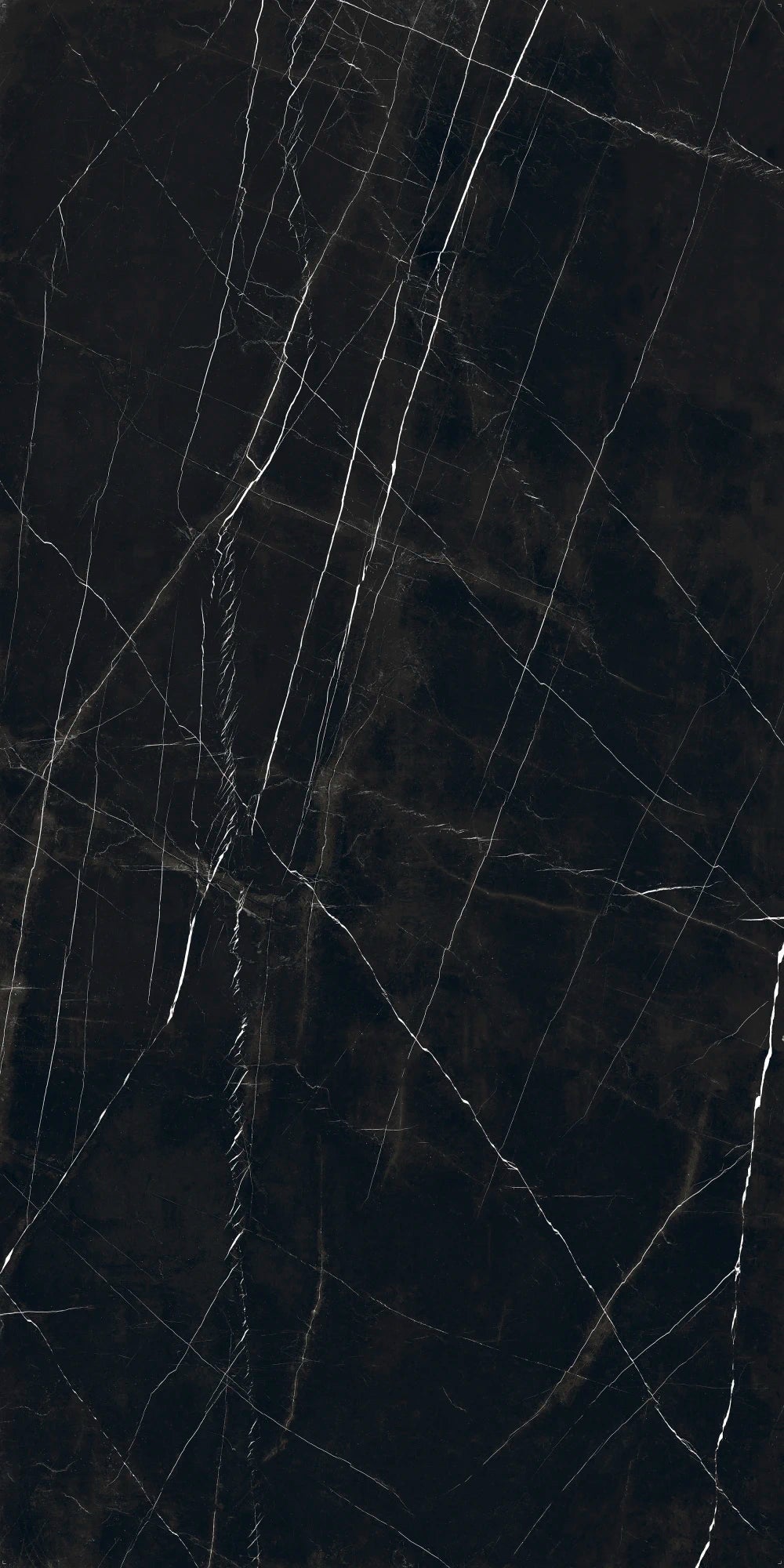 Ascale Marquina Black 127''x63'' 12 mm Polished Porcelain Slab