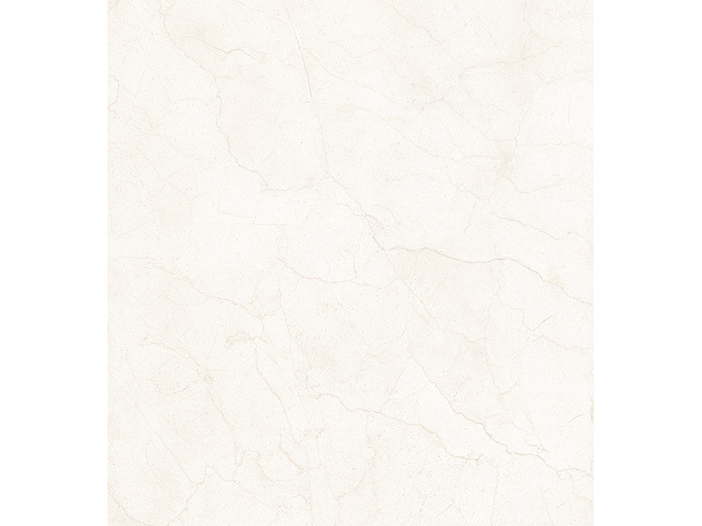 European Porcelain and Ceramics Novelda Rectified 24'' x 48'' Polished Porcelain Tile