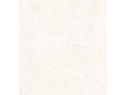 European Porcelain and Ceramics Novelda Rectified 24'' x 48'' Polished Porcelain Tile