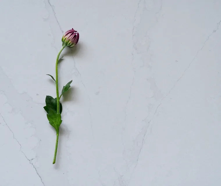 HanStone Odina 130" x 65" x 2 cm" Polished Quartz Slab